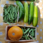 Fruchtfolge, Fruchtwechsel und Mischkultur