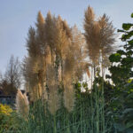 Gärtnern entlang der Jahreszeiten