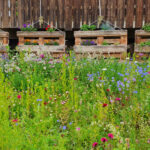 Impressionen aus dem Gartenareal