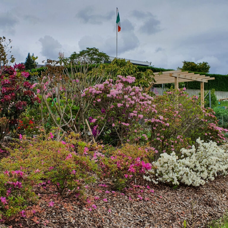 arealgarten_210606_11