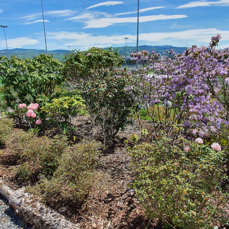 arealgarten_210606_4