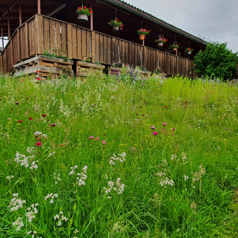 arealgarten_210606_8