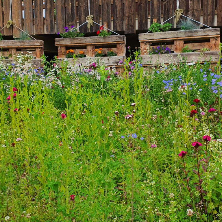 arealgarten_210606_9