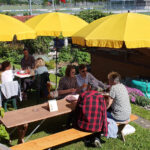 Impressionen Wirtenachmittage