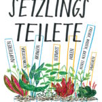 Setzlings Teilete