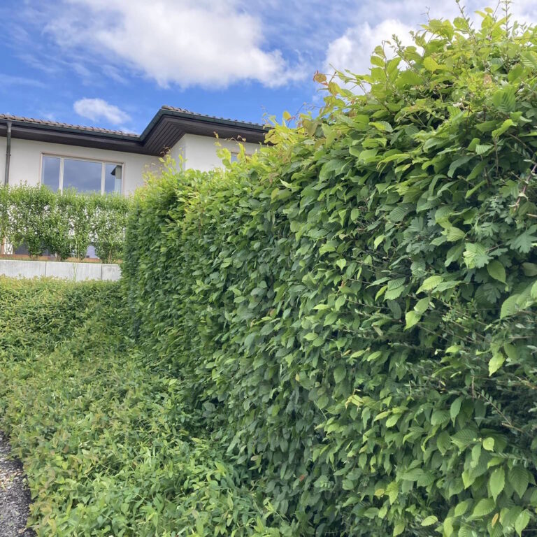 FGV_Frondienst_240525_09